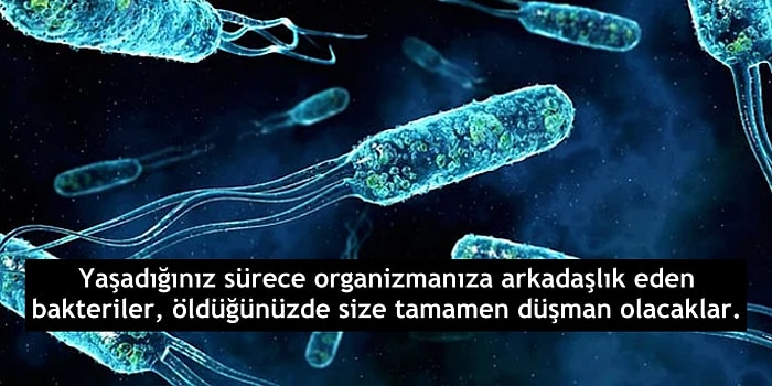 Bilmemek Ayıp Değil! Biyoloji Konuşulan Ortamlarda Edebileceğiniz 13 Kelam