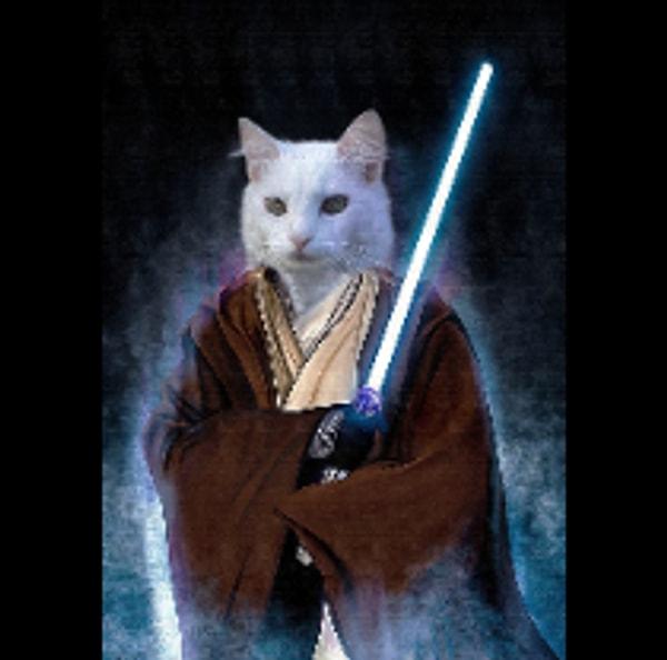 Kedi Jedi