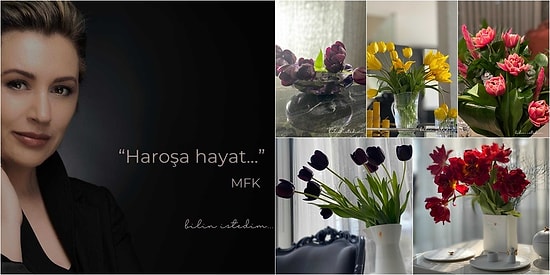 Meltem Farah Konyalı Yazio: Haroşa  Hayat