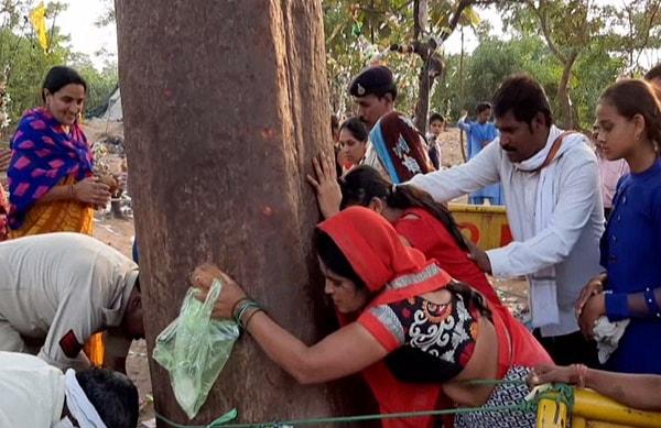 Halk, hastalarını Mahua ağacına getirerek şifa diliyordu.
