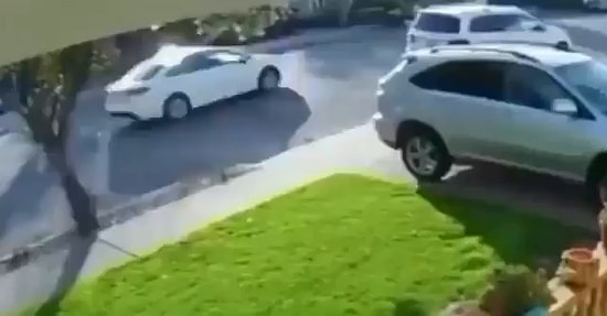 Silahlı Soygun Yapmak İstedikleri Kişinin Gazabına Uğrayan Soyguncular