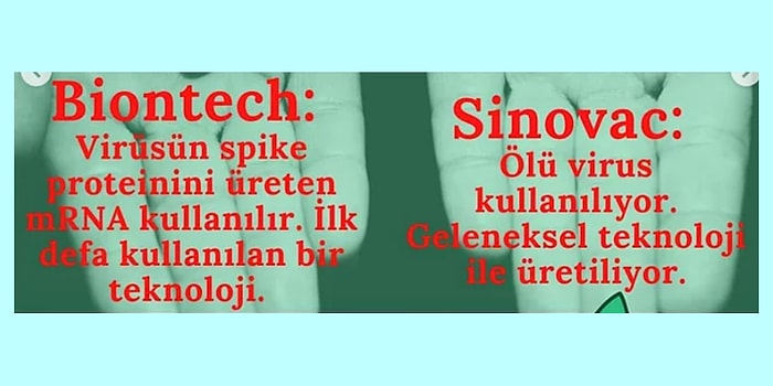 Biontech ve Sinovac Aşılarının Artı ve Eksilerini Gösteren Bu Karşılaştırmalara Göz Atmalısınız