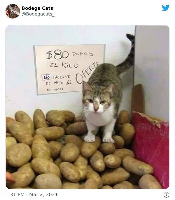 3. Человек, возьми картохи, недорого!