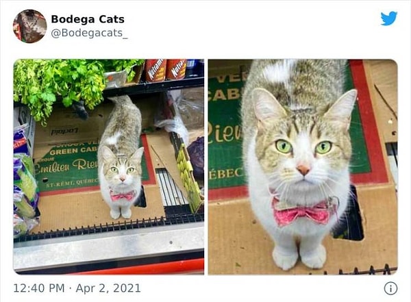 6. Что вам подсказать?