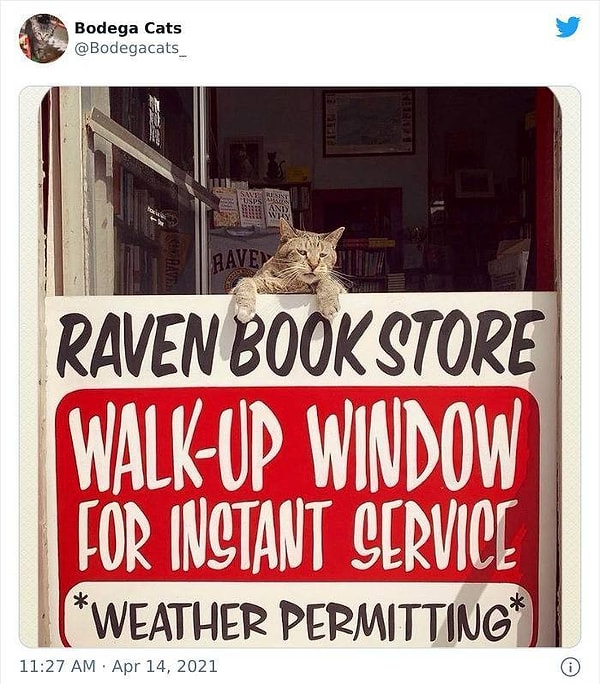 7. Почитать чего-нибудь не желаете, господа?