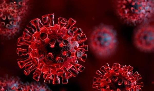 Bütün dünyamızı alt üst eden, hatta pek çok sevdiğimizi bizden koparan koronavirüs bir yılı aşkın süredir hayatlarımızda.
