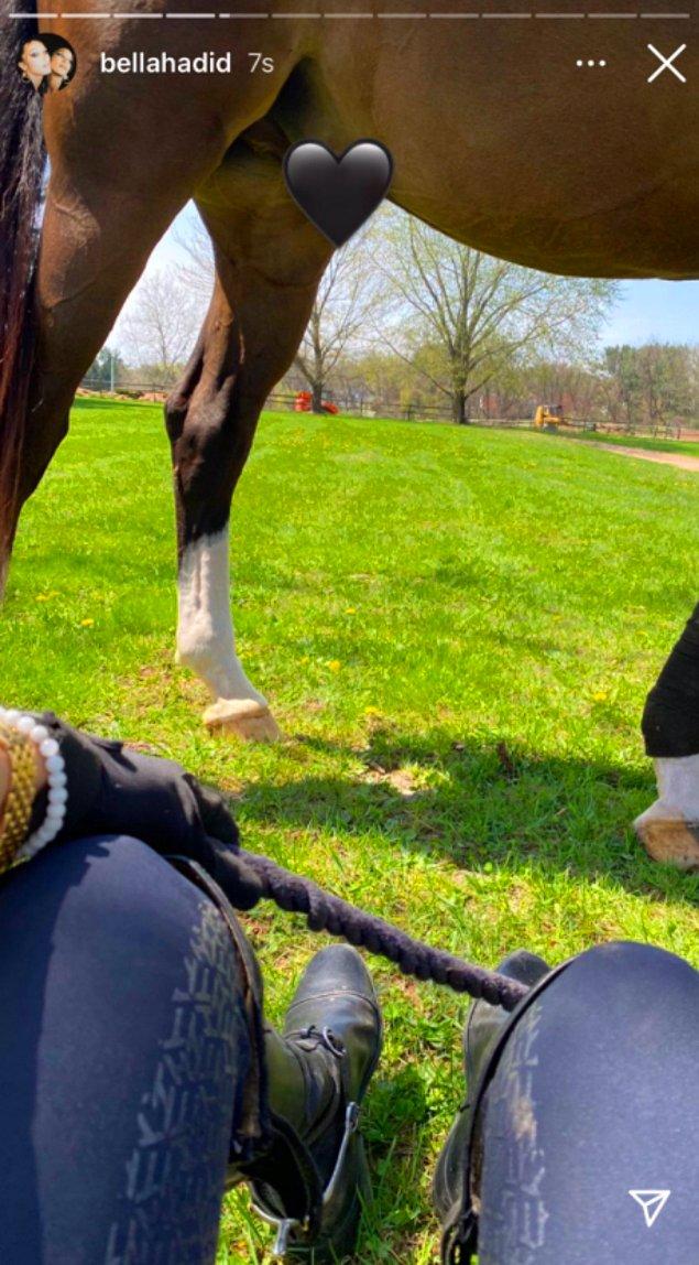 At fotoğrafı paylaşan Bella, atın cinsel organını koyduğu kalp emojisi ile sansürledi.