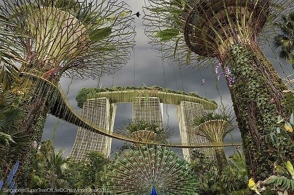 1. Идея работы французского фотографа заключалась в том, что он хотел представить себе, как будет выглядеть мир без людей