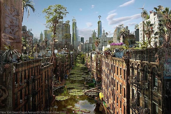 2. Он создал интересный проект под названием «Проблемы в раю»