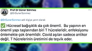 Covid-19 ile Savaşmamızda Antikorlar Kadar Etkili Olan 'T Hücresi' Hakkında Duyduklarınıza Şaşıracaksınız