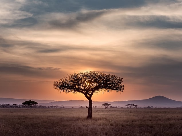 13. Afrika: "İnsanlar Afrika'nın ülke olduğuna inanmıyor. Birden fazla ırk olduğunu da bilmiyor..."