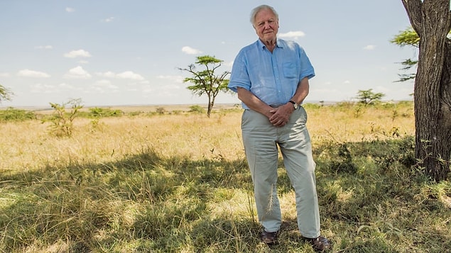 4. David Attenborough: A Life on Our Planet