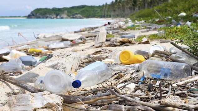 13. A Plastic Ocean