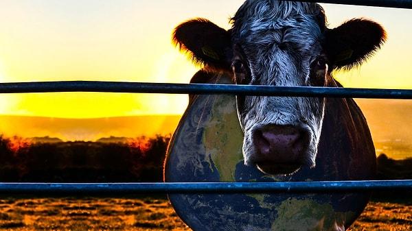 8. Cowspiracy: Sürdürülebilirliğin Sırrı (2014)