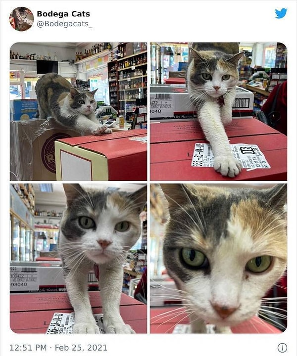 14. Потягушки!