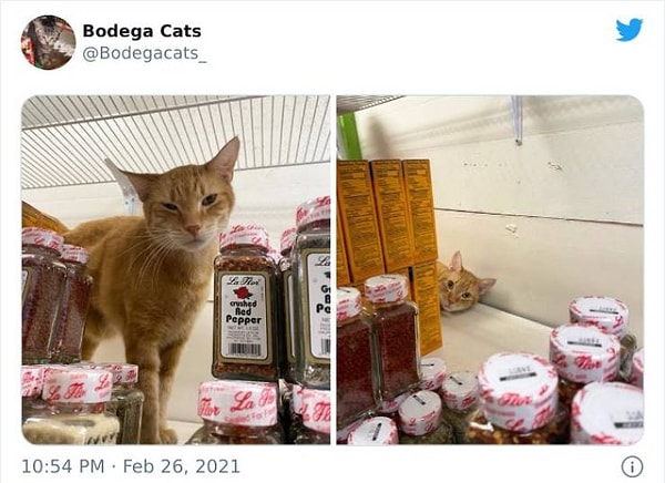 15. Приходите еще в наш магазин! :)