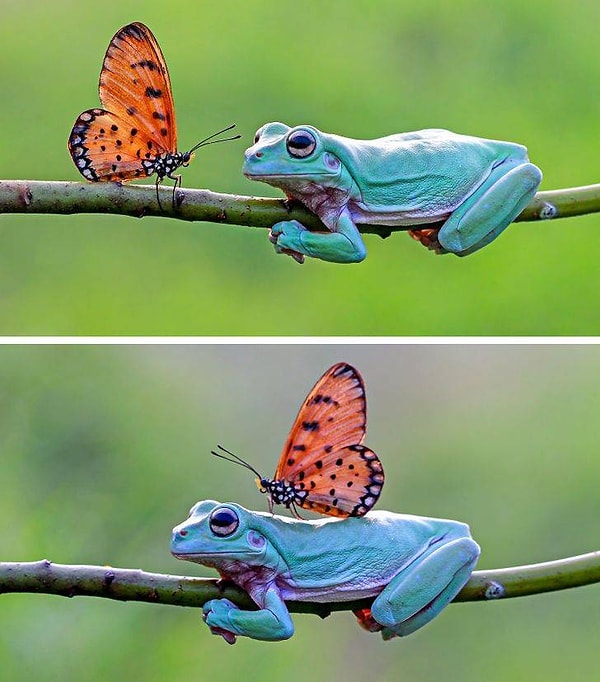 3. "История одной дружбы".