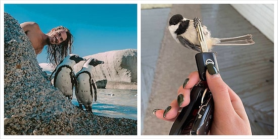 "Улыбочку!", или 12 раз, когда животные были сфотографированы в самый удачный момент