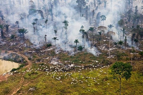 10. Brezilya: Yer açmak için yakılmış Amazon ormanları.