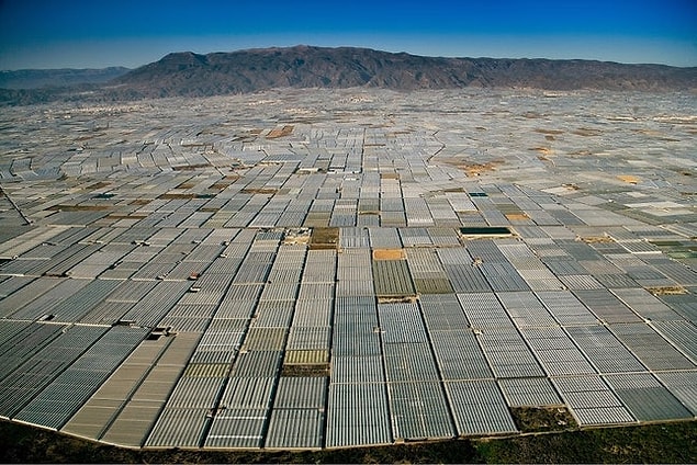14. Almeria, İspanya: Kilometrelerce uzanan endüstriyel tarım alanları.