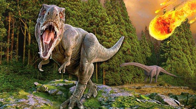 21. Dinozorların Ölümü – Beşinci Yok Oluş