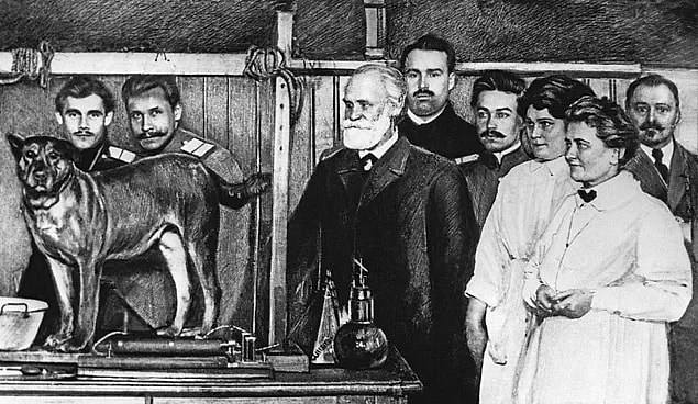 2. Pavlov çalışmalarından arta kalan zamanda bir barda oturmuş, içtiği birasının tadını çıkarmaktadır.
