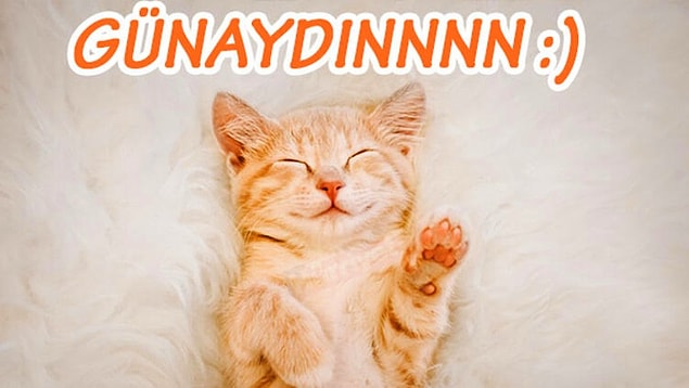 Kısa Günaydın Mesajları