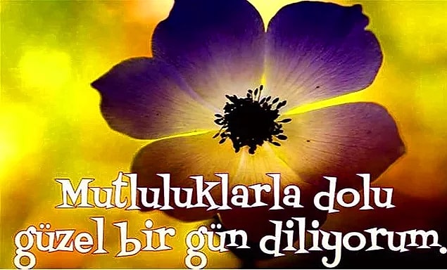 Resimli Günaydın Mesajları ve Sözleri