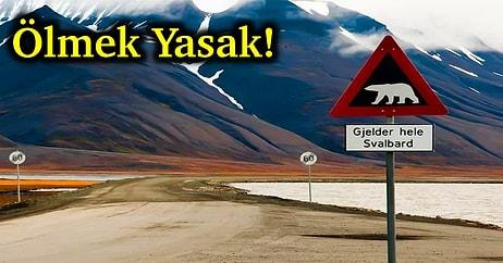 Ölmenin Yasak Olduğu Tek Yer: Birbirinden İlginç Yasaklara Sahip Dünyanın En Kuzeyindeki Yer Svalbard!