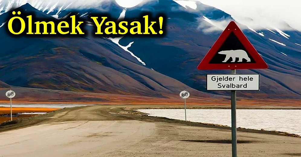 Ölmenin Yasak Olduğu Tek Yer: Birbirinden İlginç Yasaklara Sahip Dünyanın En Kuzeyindeki Yer Svalbard!