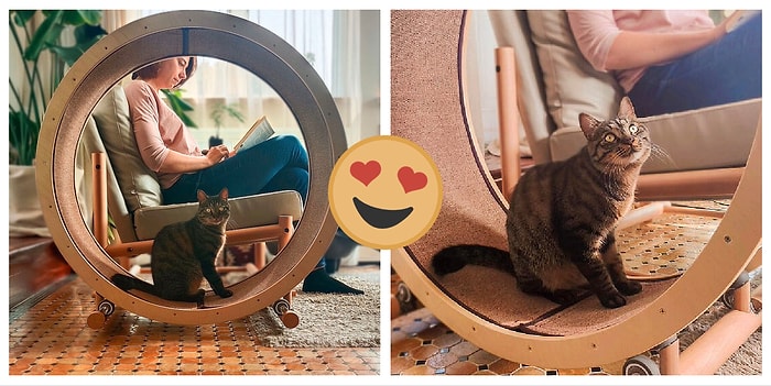 Дизайнеры изобрели идеальное кресло для котоманов, в которое встроено беговое колесо для вашего любимца (8 фото)