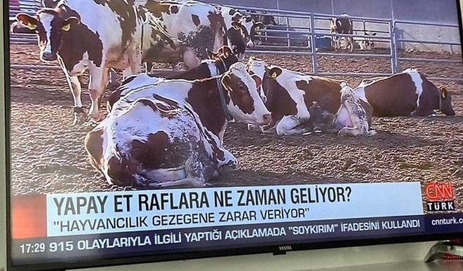 CNN Türk'ün 'Yapay Et' Yayınına Sosyal Medyadan Bill Gates Tepkisi Geldi