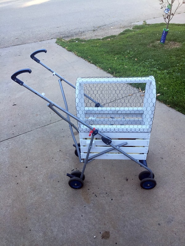 10. А вы бы смогли смастерить такой девайс, будь у вас домашняя курица? :)