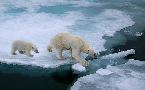 İnsanlığın Gezegen Üzerindeki Etkisi: Eriyen Buzullar Nedeniyle Dünyanın Ekseni Kaydı