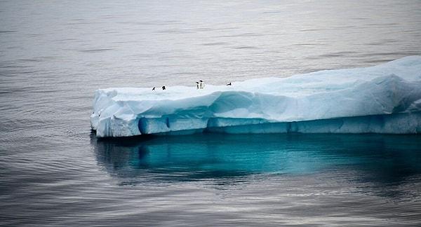 Her yıl yüz milyarlarca tonluk buz kayboluyor