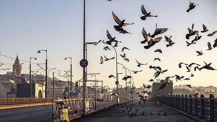 Sokağa Çıkma Yasağında Çalışma İzin Belgesi Nasıl ve Nereden Alınır? Kimler Yasaktan Muaf Olacak?