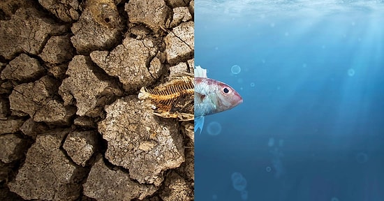 Küresel Isınmanın Önüne Geçmek Adına Bireysel Olarak Alabileceğiniz 9 Önlem