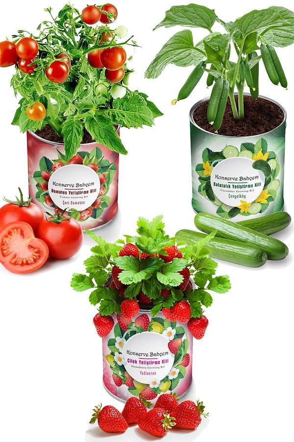 3. Evde kendi sebzelerini yetiştirebilirsin...