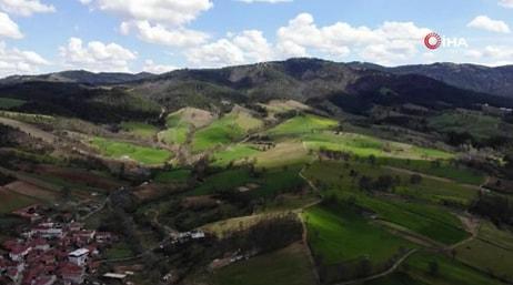 Kimse Yüzüne Bile Bakmıyordu: Altın Rezervi Bulunan Köyde Arsa Fiyatları 3 Katına Çıktı
