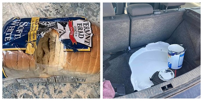 12 бедолаг, у которых денек совсем не задался