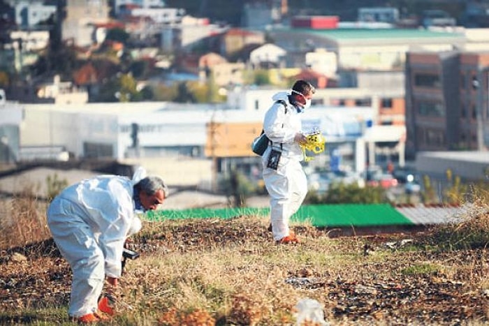 İzmir'in Çernobil'i: Gaziemir