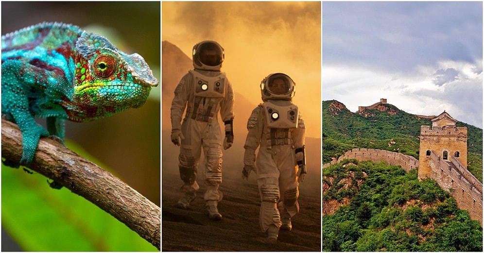 Bugüne Kadar Hep Yanlış Bilinen Birbirinden Farklı 15 Bilginin Doğruları