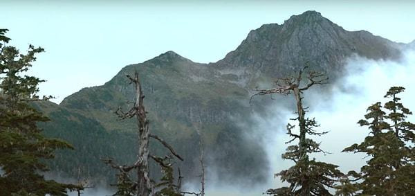 2. Tongass Ulusal Ormanı - Alaska (ABD)