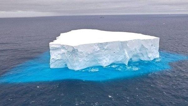 Antarktika'nın en yüksek sıradağı olan Ellsworth'un bir buz tabakasının altında kıyıya taşınıp bir buzdağının içinde bu kadar uzağa götürülürken yok olmaması ihtimali çok düşüktü.