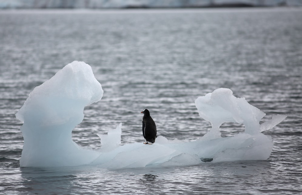 Uydu Verileri Buzulların Her Zamankinden Daha Hızlı Eridiğini Gösterdi