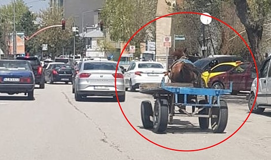 Erzurum'da Sahibinden Kaçan At Trafiğe Girdi, Çok Sayıda Araç Hasar Gördü