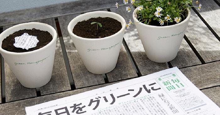Kağıt İsrafını Önleyebilecek Müthiş Proje: Bitkiye Dönüşebilen Gazeteler