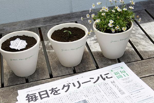 Oldukça titiz bir çalışmanın ürünü olan The Mainichi Shimbunsha için kullanılan mürekkep de bitkilerden üretiliyor.