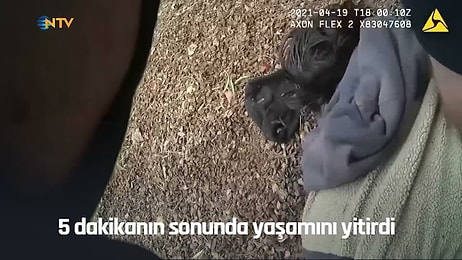 ABD'de Yine Polis Şiddeti Yaşandı: Polisin 5 Dakika Boynuna Bastırdığı 26 Yaşındaki Genç Hayatını Kaybetti