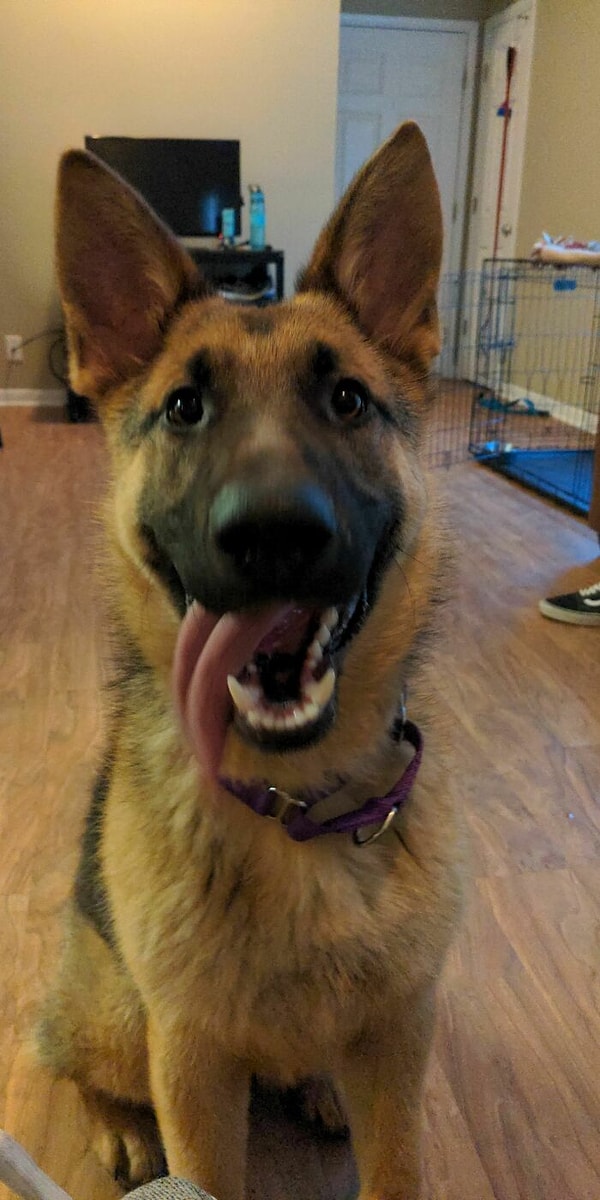 1. Его улыбка обо всем говорит)